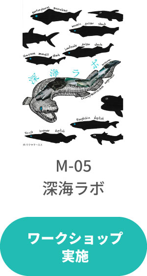 釣りフェスの歩き方紹介 - 釣りフェス 2025